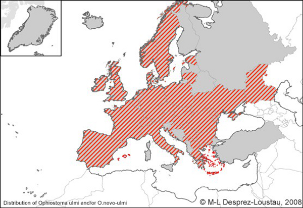 Distribuzione grafosi in Europa